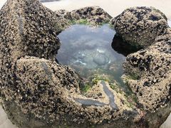 -摩拉基大圆石