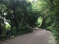 -金鸡山公园
