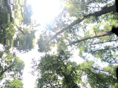 -上海怡沁园度假酒店