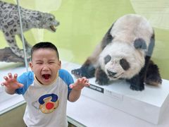 -国家自然博物馆