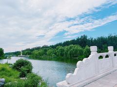 -马家湾湿地公园