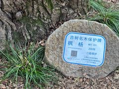 -汇龙潭