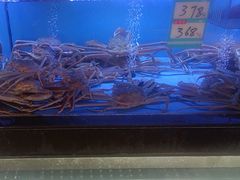 -阿伟海鲜楼·福建菜(延寿店)
