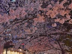 -玛格萝妮比萨屋(四平店)