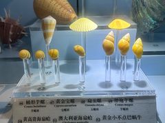 -温州博物馆