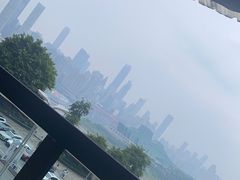 -桃花沅火锅(长嘉汇江景店)
