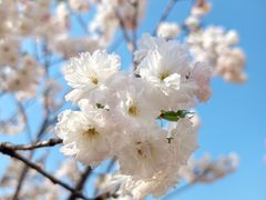 -观澜湖生态运动公社