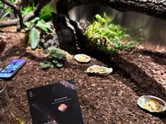 -曲廊院(东四十一条店)