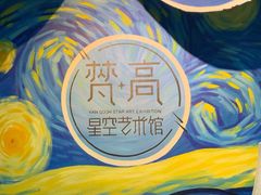 -梵高星空艺术馆(北京旗舰店)