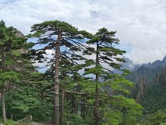 -黄山风景区