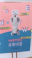 点击看大图 -WENDY·温迪皮肤管理
