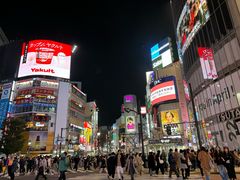 -涩谷全向十字路口