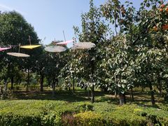 -西安汉城湖景区