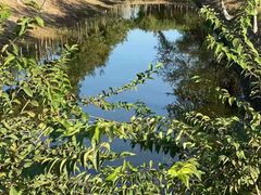 -西青郊野公园