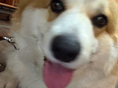 -肥朵食堂(带梦胡同店)