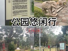-名树园