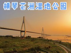 -芒洲湿地公园