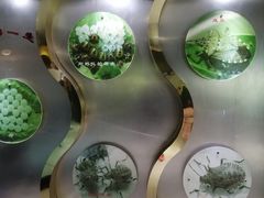 -上海昆虫博物馆