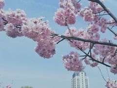 -江南大学(蠡湖校区)