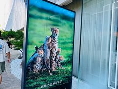 -罗红摄影艺术馆