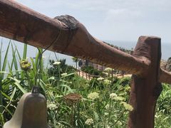 -枸杞岛