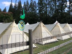 -前小桔亲子创意农场·草莓采摘·露营烧烤