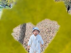 -森林公园(尖草坪区)