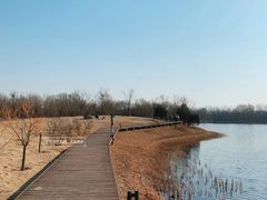 -东郊湿地公园