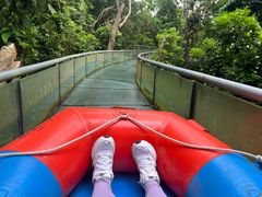 -七仙岭温泉国家森林公园