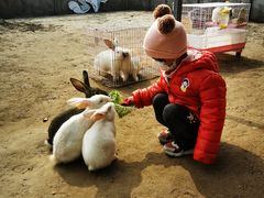 -前小桔亲子创意农场·草莓采摘·露营烧烤