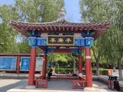 -莲花池公园