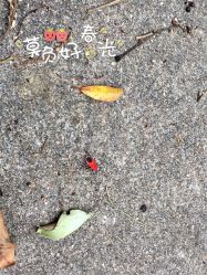 -韩莱科技美肤连锁