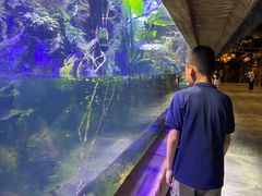 -华夏文旅海洋公园