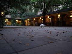 -竹吟山房