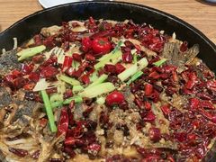 -老板恋上鱼(恒隆广场店)