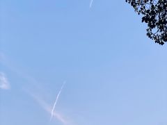 -普陀山风景名胜区-法雨禅寺