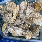 海鲜季