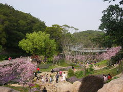 -狐尾山公园