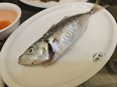 -吴记富苑(朝阳店)