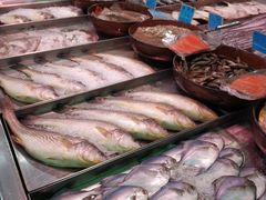 -新隆嘉生鲜超市(北二经街店)