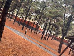 -东海森林温泉