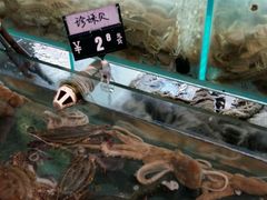 -来之顺海鲜菜馆·青岛菜(栈桥店)