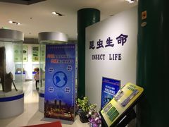-上海昆虫博物馆
