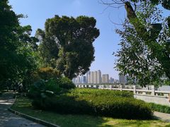 -江心屿景区