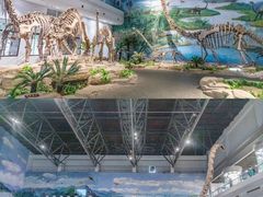 -自贡恐龙博物馆