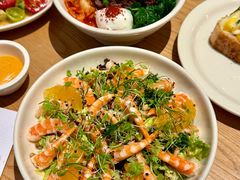 -O'eat Blossom&Pelican(深圳首店)