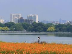 -海珠湖公园