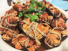 -上海吉臣维景酒店·维多利亚餐厅