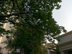 -老洋房花园饭店(绍兴路店)