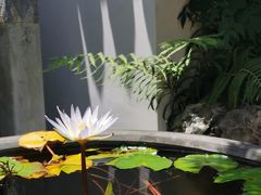 -苏州文旅姑苏小院·端善堂